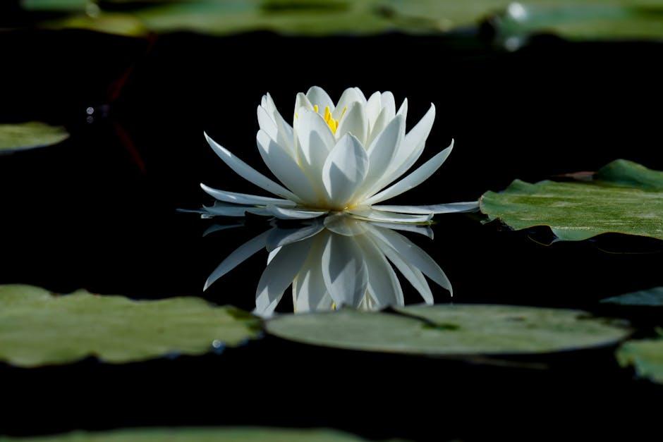 Critics and Audiences Speak: Why The White Lotus Deserves Your Attention