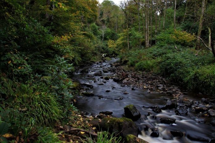 The Pros and Cons of Different Streaming Membership Tiers