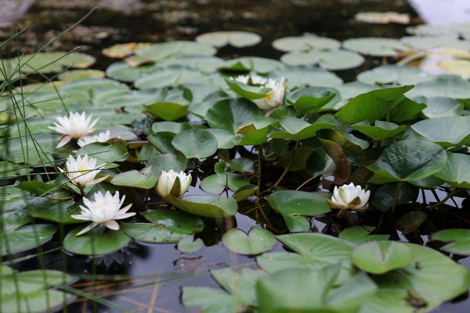 The Art of Balancing ‌Humor and Drama in The White Lotus