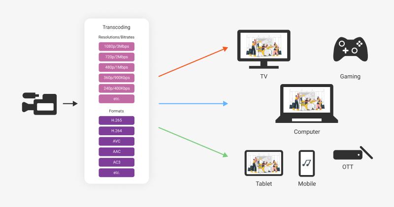 Exploring Device Compatibility and User Experience